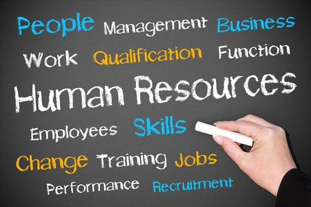 The Field Of A Human Resource Generalist