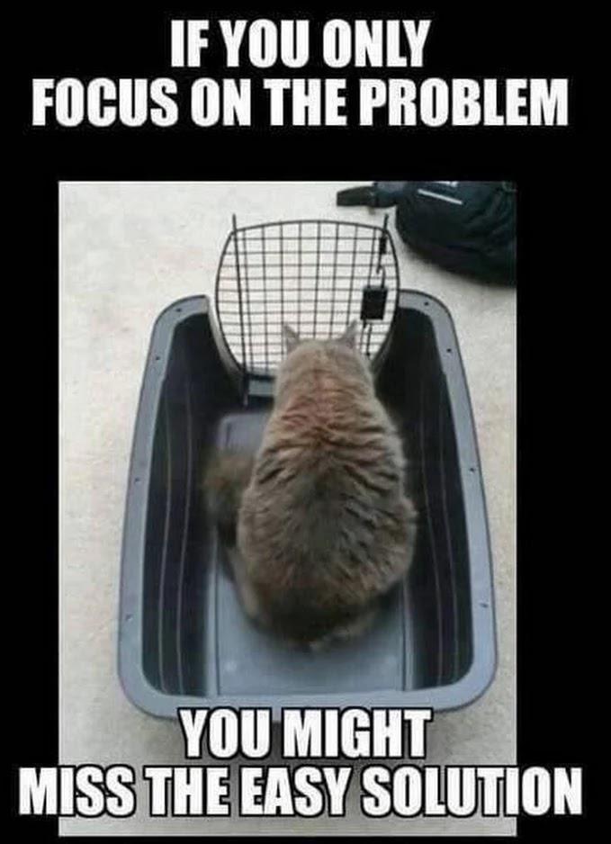 Cat thinks it is stuck in a cage that it can easily escape meme