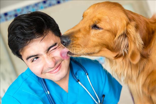 young veterinarian with dog