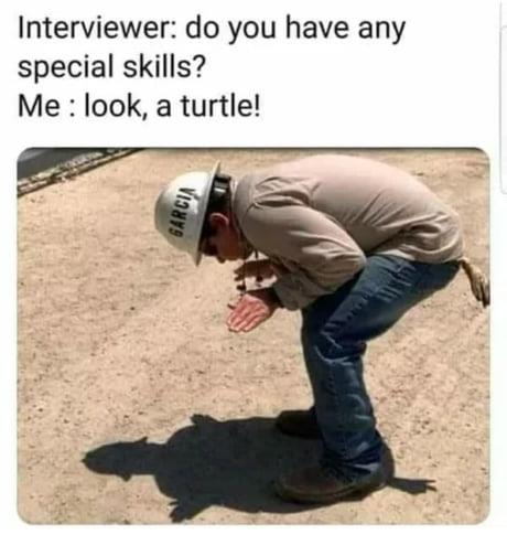 Turtle shadow skills meme