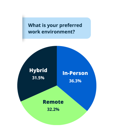 Pie chart showing candidates’ preferred work environments