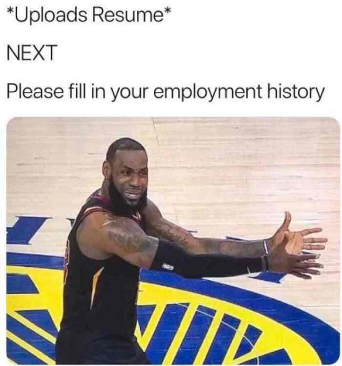 Uploads Resume. NEXT Please fill in your employment history meme