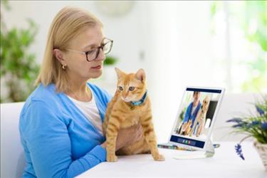 woman with cat using veterinary telehealth services