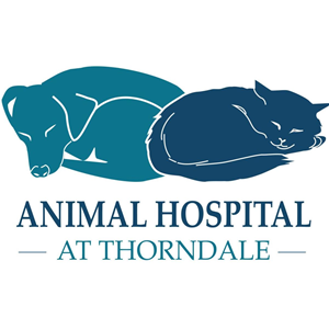 Veterinary Client Service Representative / Receptionist - Downingtown,  Pennsylvania | iHireVeterinary