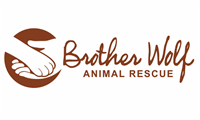 Brother Wolf Animal Shelter
