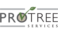 Protree Services LLC