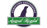 Downtown Greensboro Animal Hospital