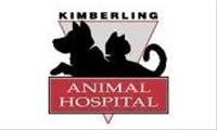 Kimberling Animal Hospital