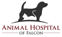 Animal Hospital of Falcon