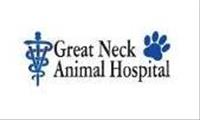 Great Neck Animal Hospital