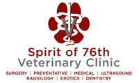 Spirit of 76th Veterinary Clinic