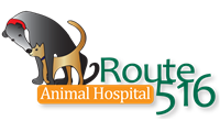 Route 516 Animal Hospital Hospital