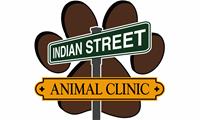 Indian Street Animal Clinic