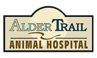 Veterinary Jobs - Hiring for Veterinarian, Veterinary Assistant, and