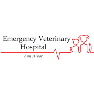 Do Thundershirts work? - Ann Arbor Animal Hospital