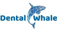 Dental Whale Jed Vess